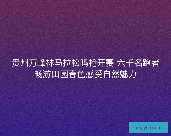 贵州万峰林马拉松鸣枪开赛 六千名跑者畅游田园春色感受自然魅力