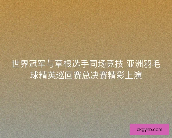 世界冠军与草根选手同场竞技 亚洲羽毛球精英巡回赛总决赛精彩上演