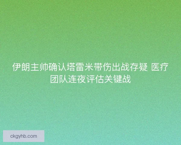 伊朗主帅确认塔雷米带伤出战存疑 医疗团队连夜评估关键战