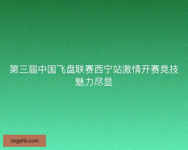 第三届中国飞盘联赛西宁站激情开赛竞技魅力尽显 第三届中国飞盘联赛西宁站激情开赛竞技魅力尽显